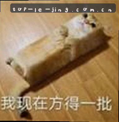 刘洋